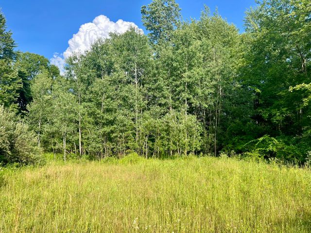 1143 38th Street, Allegan, MI 49010