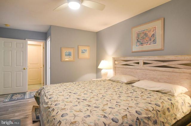 195 PINE TREE RD, Ocean City, MD 21842