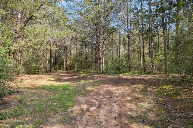 15946 Fm 1094, Cat Spring, TX 78933