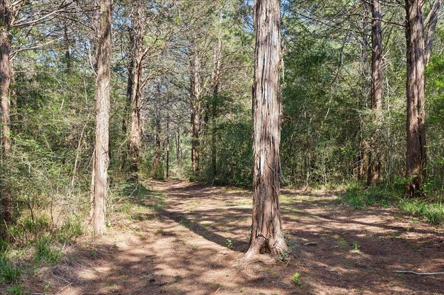 15946 Fm 1094, Cat Spring, TX 78933