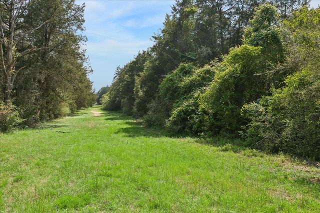 15946 Fm 1094, Cat Spring, TX 78933
