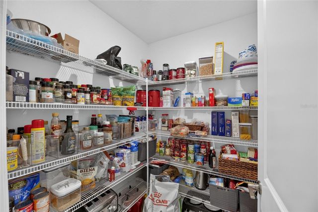 17219 SCUBA CREST STREET, Wimauma, FL 33598