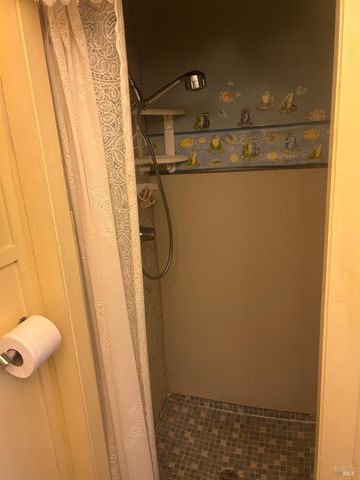 10418 Mulberry St, Middletown, CA 95461