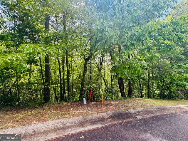 0 Rosen Strasse - LOT 141, Helen, GA 30545