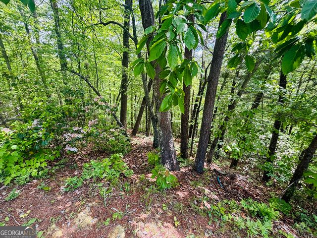 0 Rosen Strasse - LOT 141, Helen, GA 30545