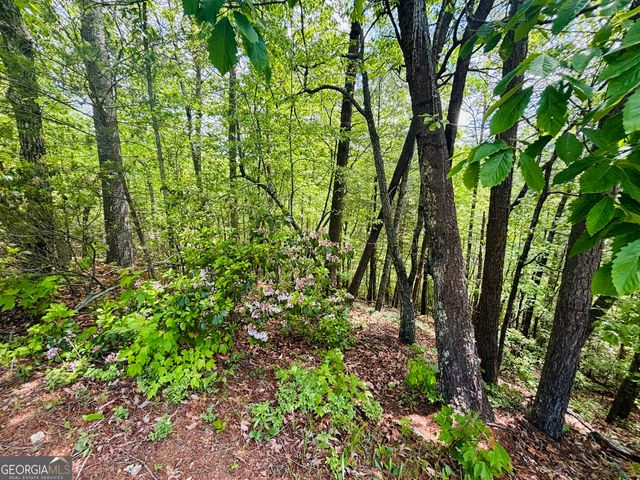 0 Rosen Strasse - LOT 141, Helen, GA 30545