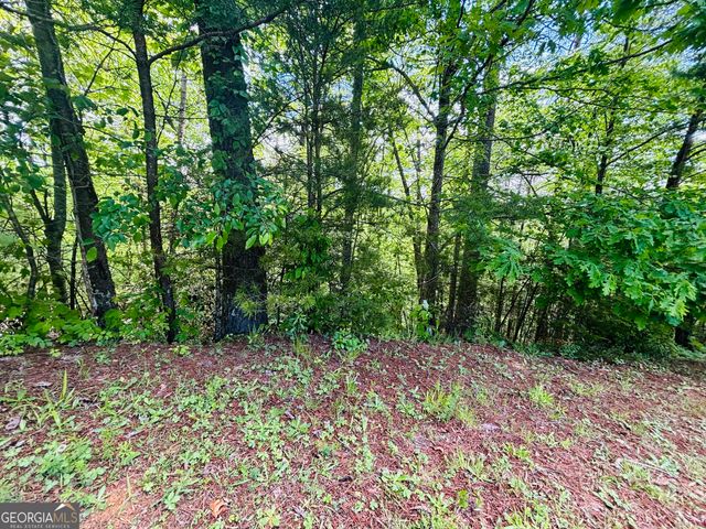 0 Rosen Strasse - LOT 141, Helen, GA 30545