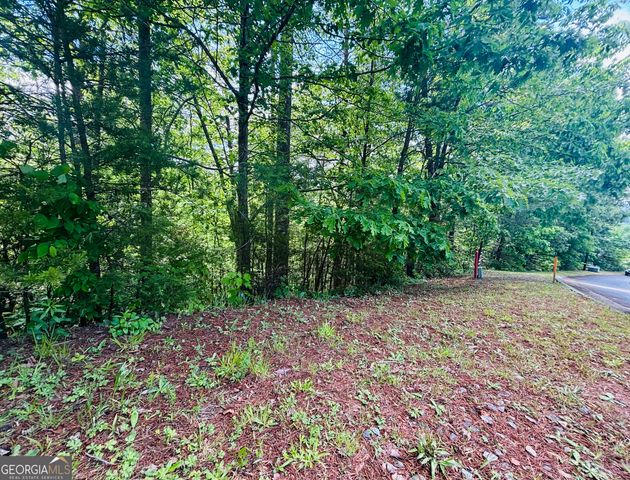 0 Rosen Strasse - LOT 141, Helen, GA 30545