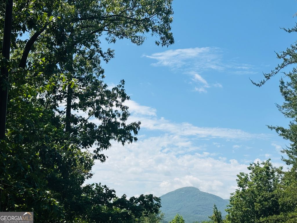 0 Rosen Strasse - LOT 141, Helen, GA 30545
