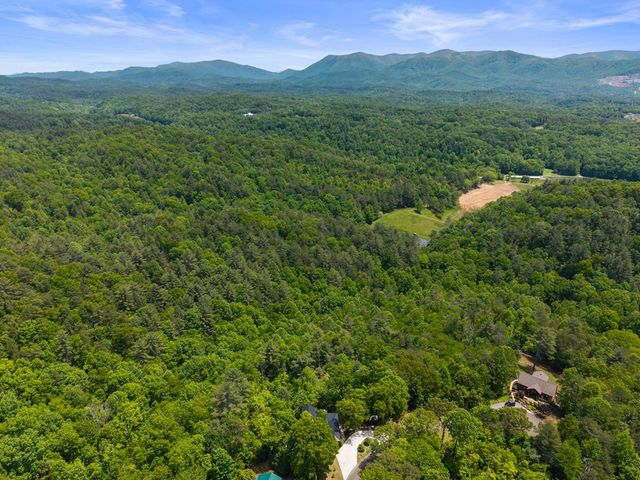 495 Trails End Ridge, Ellijay, GA 30540