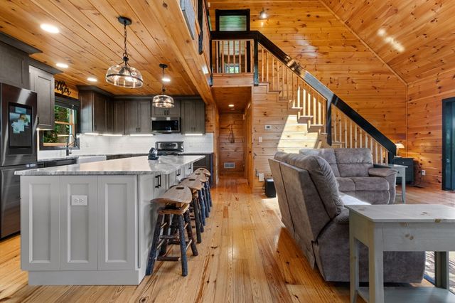 495 Trails End Ridge, Ellijay, GA 30540