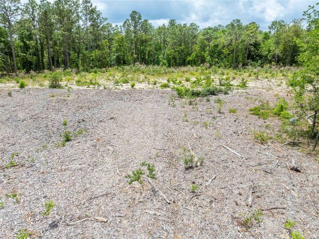 15022 GAR STREET, Spring Hill, FL 34609