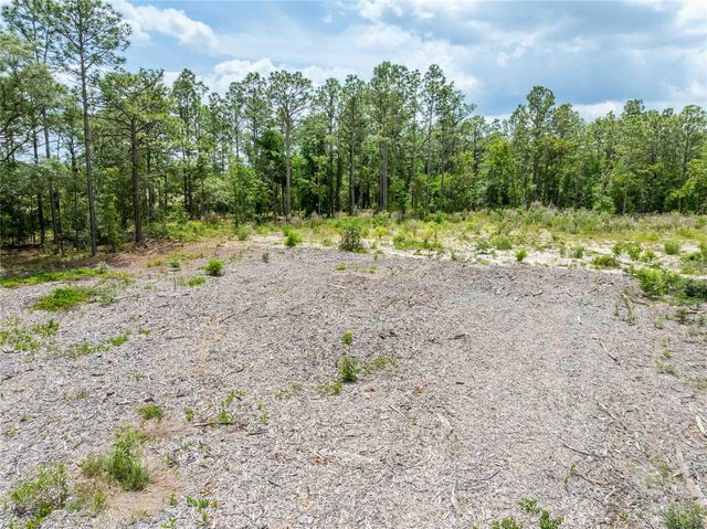 15022 GAR STREET, Spring Hill, FL 34609