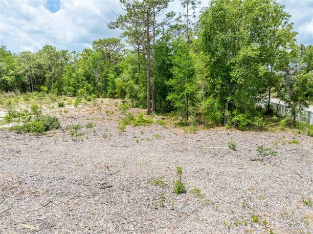 15022 GAR STREET, Spring Hill, FL 34609