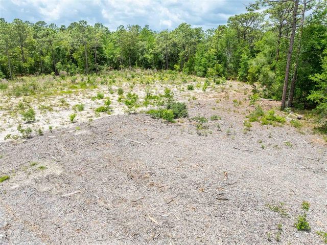 15022 GAR STREET, Spring Hill, FL 34609