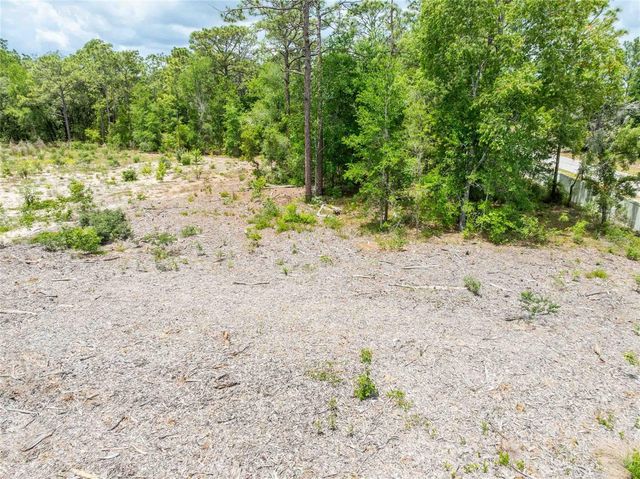 15022 GAR STREET, Spring Hill, FL 34609