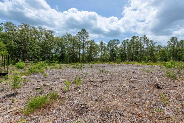 15022 GAR STREET, Spring Hill, FL 34609