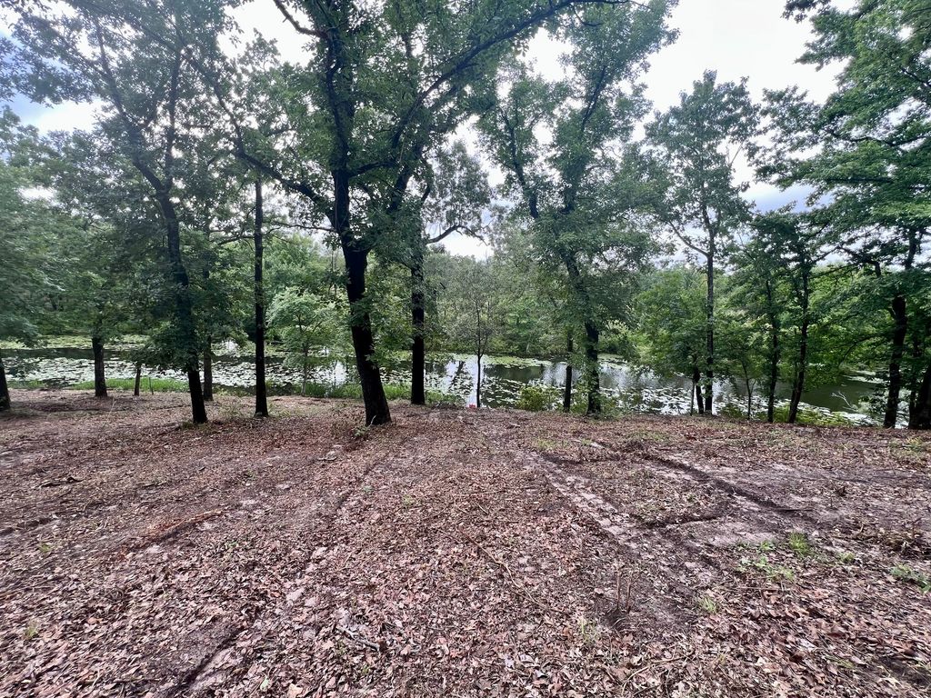 TBD Lot 14, Athens, TX 75752