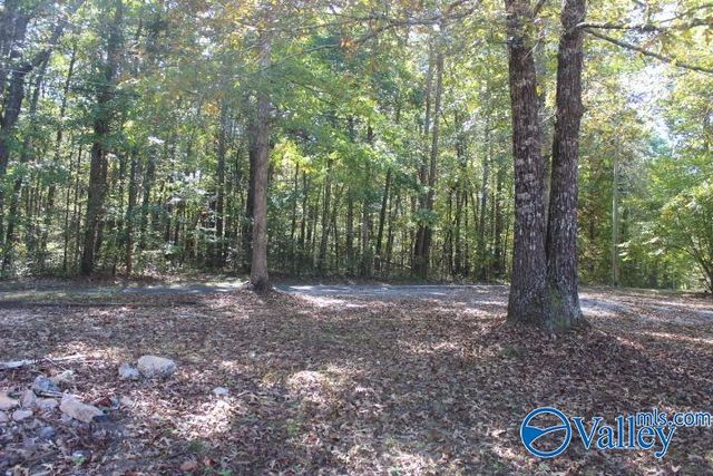 104 Bear Creek Road SE, Fort Payne, AL 35967