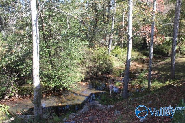 104 Bear Creek Road SE, Fort Payne, AL 35967