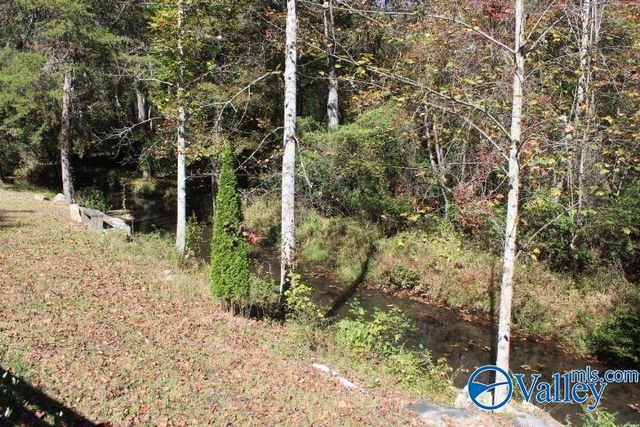 104 Bear Creek Road SE, Fort Payne, AL 35967