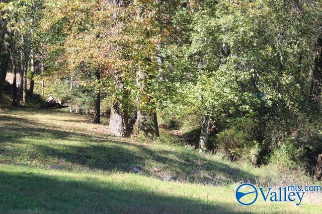 104 Bear Creek Road SE, Fort Payne, AL 35967