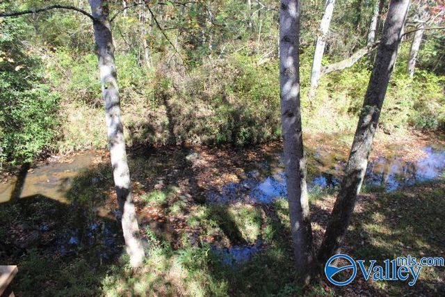 104 Bear Creek Road SE, Fort Payne, AL 35967