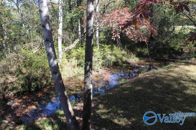 104 Bear Creek Road SE, Fort Payne, AL 35967