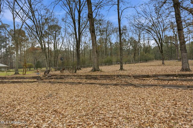 420 Shadow Lake Cove, Raymond, MS 39154