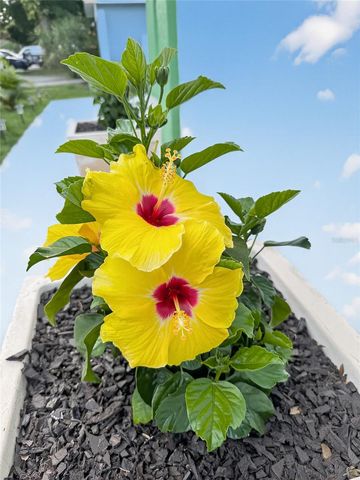 2311 W KENTUCKY AVENUE, Tampa, FL 33607