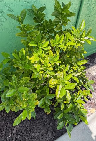 2311 W KENTUCKY AVENUE, Tampa, FL 33607