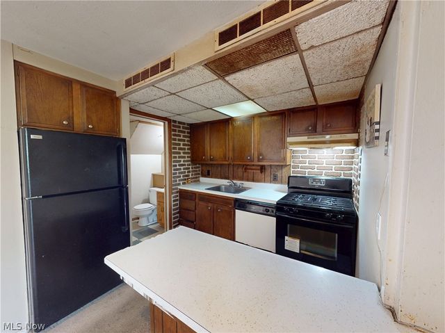 1651 Mentor Avenue 808, Painesville, OH 44077