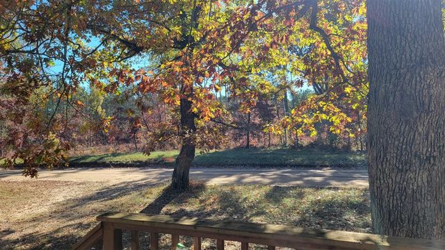 11988 S Shady Grove Drive, Baldwin, MI 49304