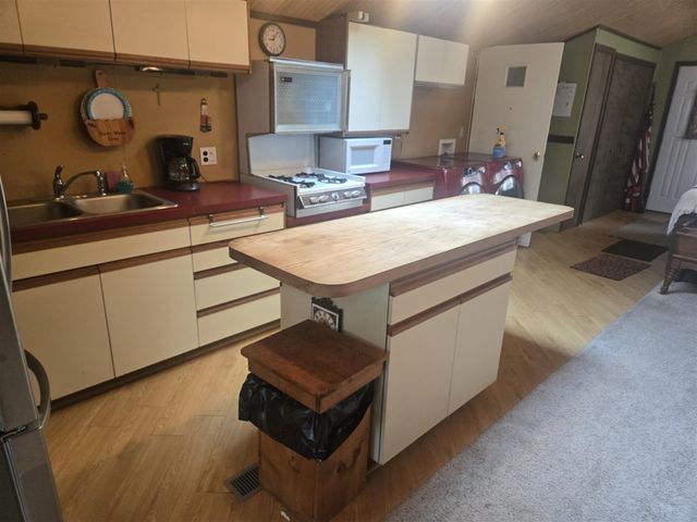 11988 S Shady Grove Drive, Baldwin, MI 49304