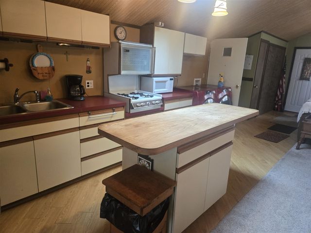 11988 S Shady Grove Drive, Baldwin, MI 49304