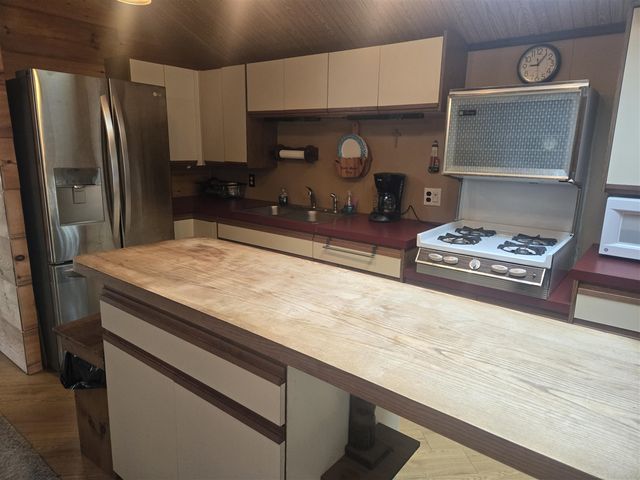 11988 S Shady Grove Drive, Baldwin, MI 49304