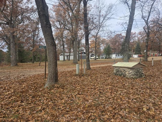 11988 S Shady Grove Drive, Baldwin, MI 49304