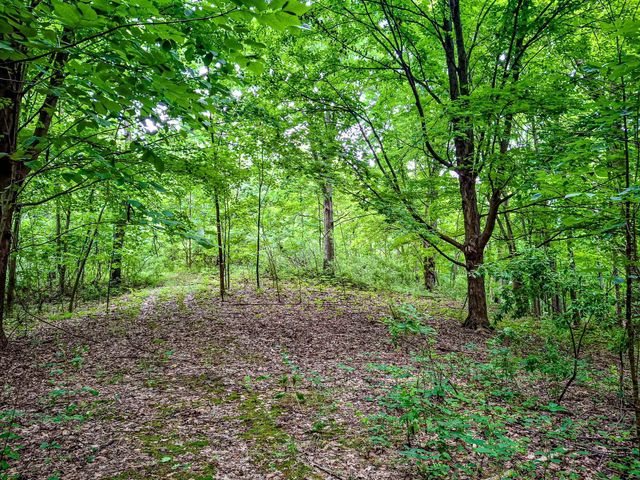 24486 6th Avenue, Gobles, MI 49055