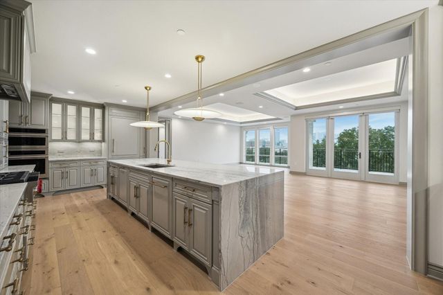 1717 Bissonnet Street 1105, Houston, TX 77005