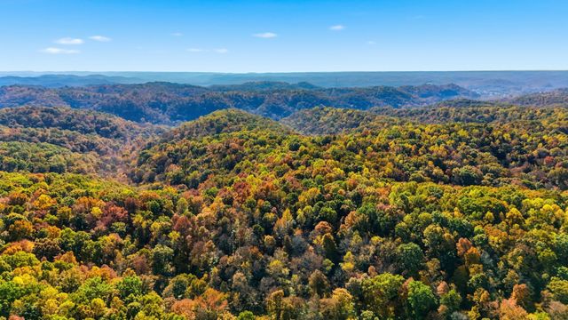 4300 Bull Run Rd, Ashland City, TN 37015