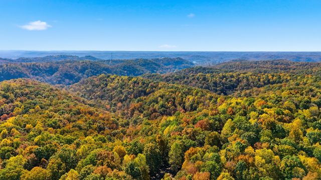 4300 Bull Run Rd, Ashland City, TN 37015