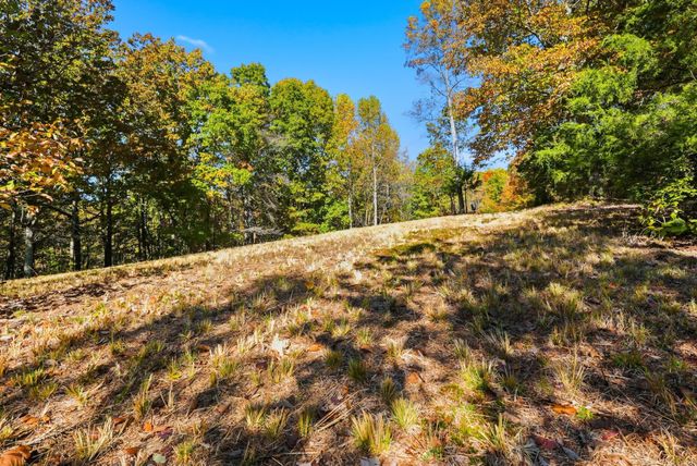 4300 Bull Run Rd, Ashland City, TN 37015