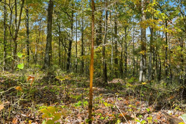 4300 Bull Run Rd, Ashland City, TN 37015