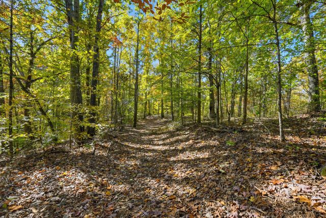 4300 Bull Run Rd, Ashland City, TN 37015