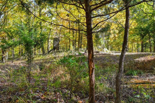 4300 Bull Run Rd, Ashland City, TN 37015