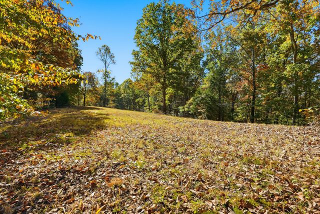 4300 Bull Run Rd, Ashland City, TN 37015