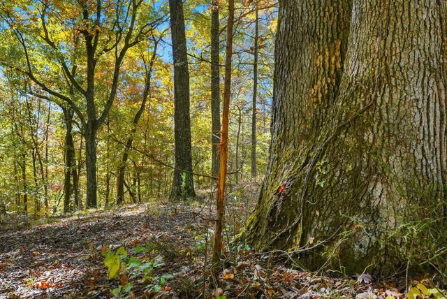 4300 Bull Run Rd, Ashland City, TN 37015