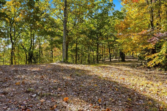 4300 Bull Run Rd, Ashland City, TN 37015