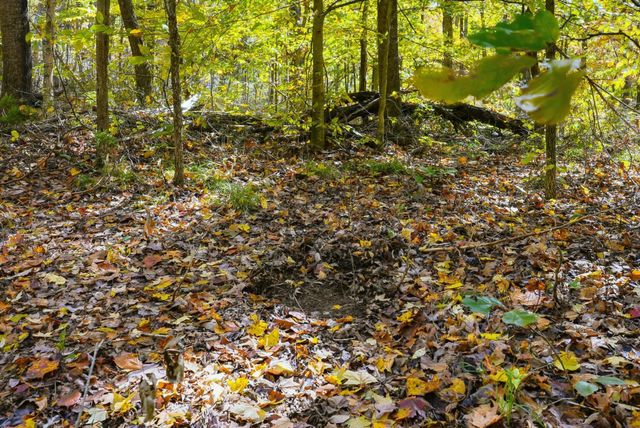 4300 Bull Run Rd, Ashland City, TN 37015