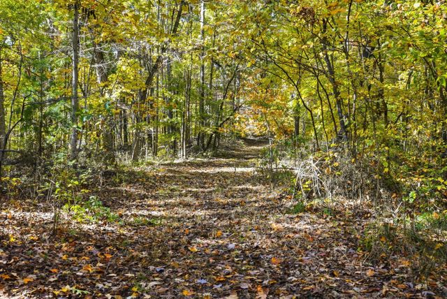 4300 Bull Run Rd, Ashland City, TN 37015